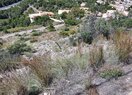 Земельный участок в Calpe / Calp, продажа