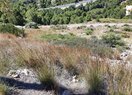 Земельный участок в Calpe / Calp, продажа