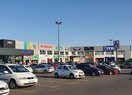 Коммерческое помещение в La Nucía, CV70 Benidorm - La Nucia, продажа