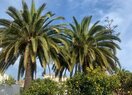 Вилла в Calpe / Calp, продажа