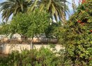 Вилла в Calpe / Calp, продажа