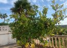 Вилла в Calpe / Calp, продажа