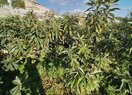 усадьба в Polop de la Marina, продажа