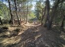 усадьба в Polop de la Marina, продажа