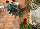 Вилла в San Vicente del Raspeig/Sant Vicent del Raspeig, San Vicente del Raspeig, продажа