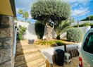 Вилла в Calpe / Calp, La Calalga, продажа