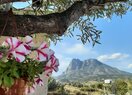 Дом в деревне в Finestrat, CERCA PUEBLO, продажа