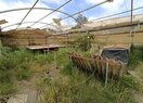 усадьба в Polop de la Marina, продажа