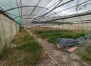 усадьба в Polop de la Marina, продажа