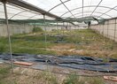 усадьба в Polop de la Marina, продажа