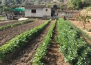 Дом в деревне в La Nucía, продажа