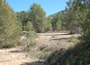 усадьба в El Albir / L'Albir, продажа